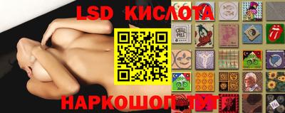 2c-b Кингисепп