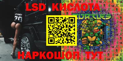 2c-b Кингисепп