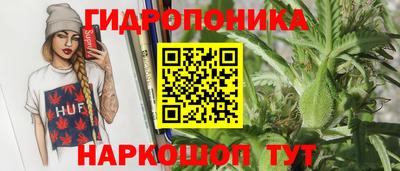 дмт Кинель