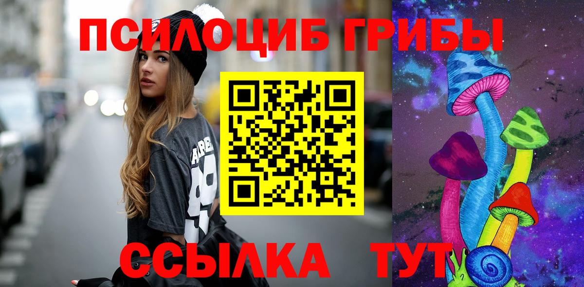 где можно купить наркотик  Галлюциногенные грибы GOLDEN TEACHER  Галлюциногенные грибы прущие грибы  Вход с VPN  Орехово-Зуево 